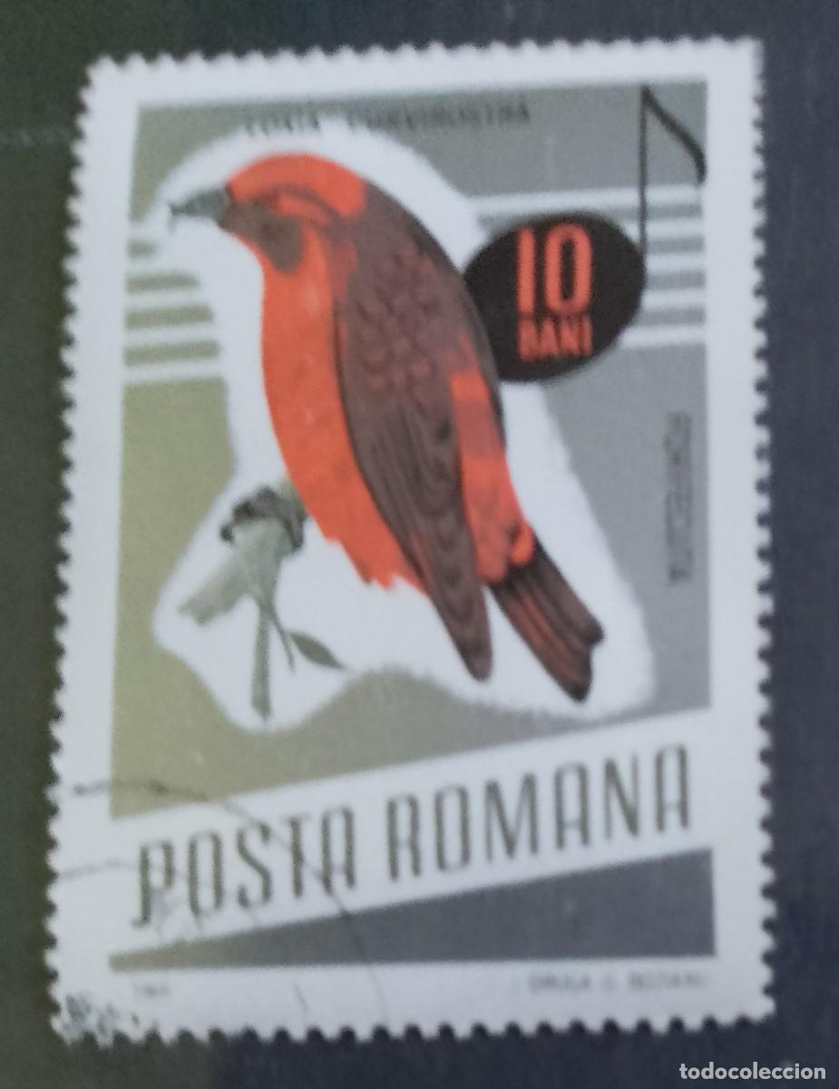 Sellos: RUMANIA - V/F 10 BANI - FAUNA, AVE, P&Aacute;JARO, PIQUIPUERTO COM&Uacute;N - VER DESCRIPCI&Oacute;N.