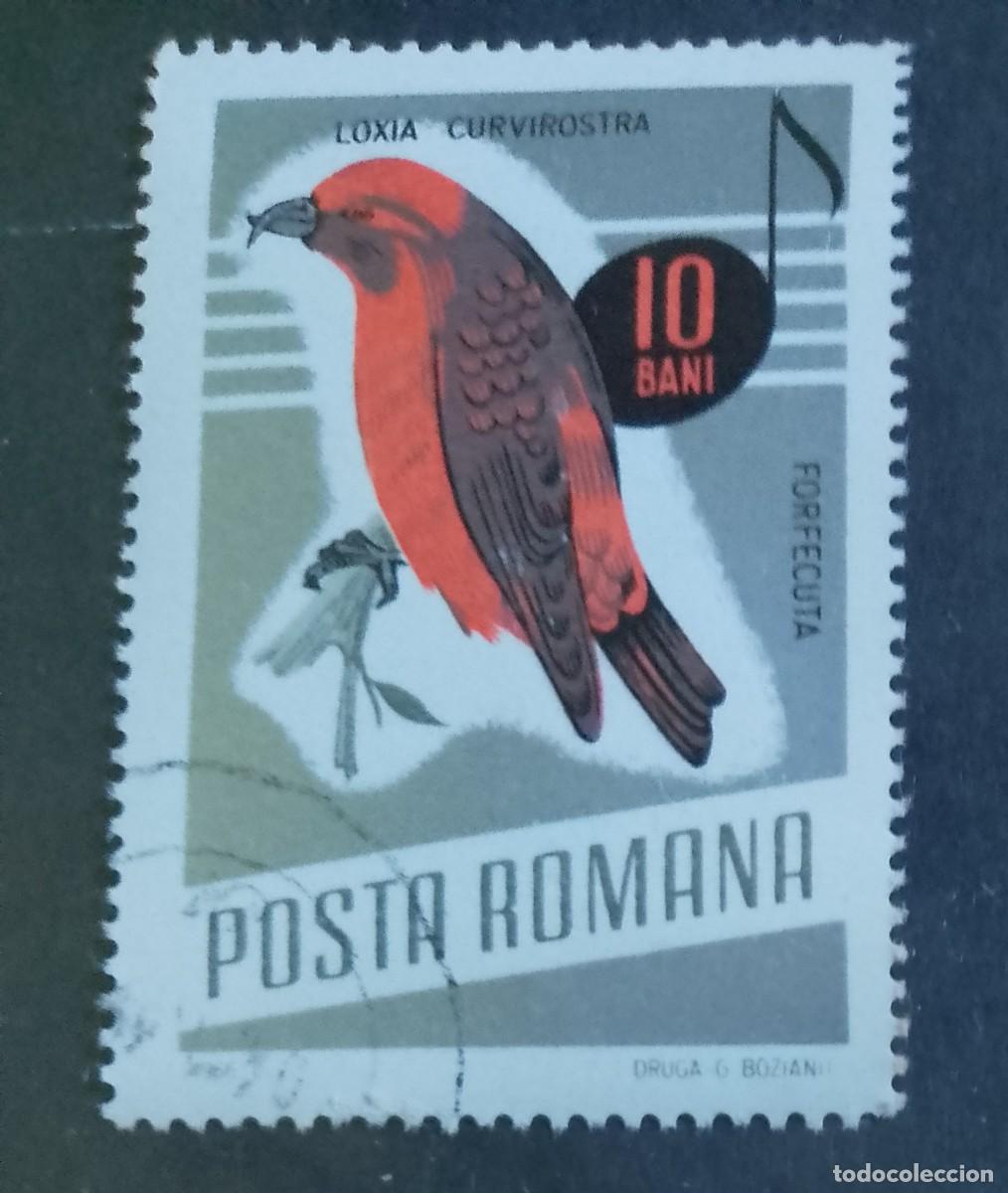 Sellos: RUMANIA - V/F 10 BANI - FAUNA, AVE, P&Aacute;JARO, PIQUIPUERTO COM&Uacute;N - VER DESCRIPCI&Oacute;N.