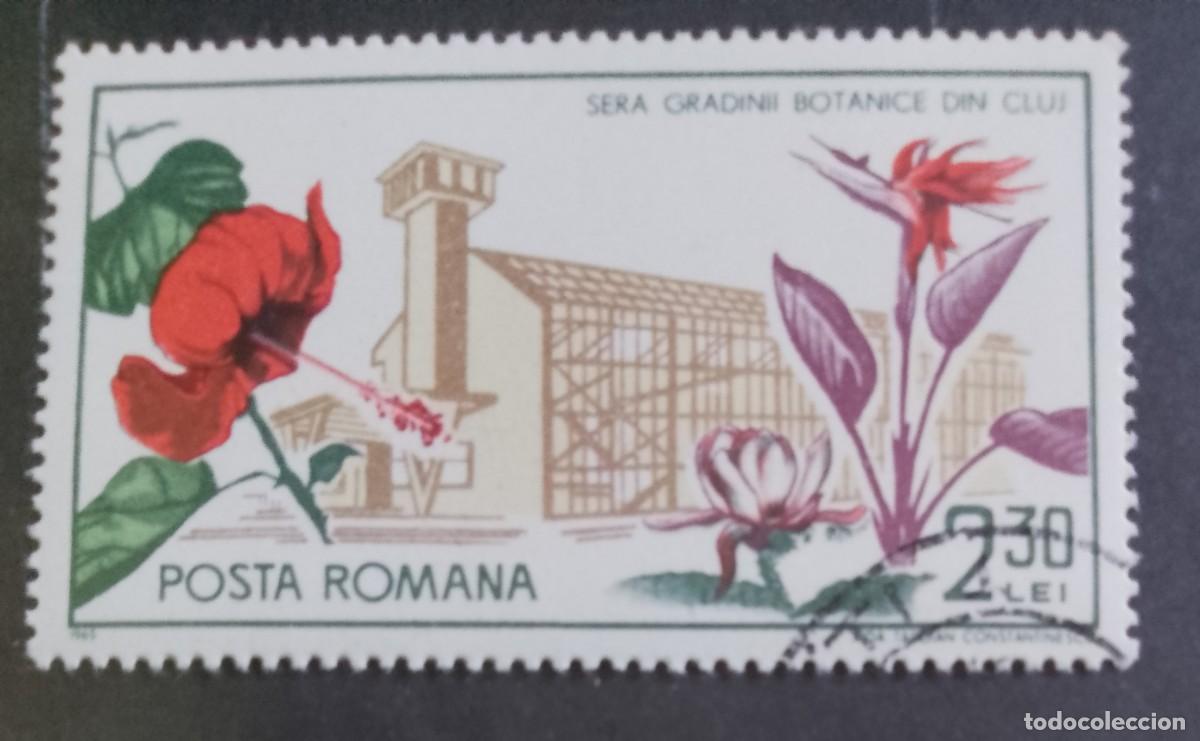 Sellos: RUMANIA - V/F 1,20 LEI - A&Ntilde;O 1965 - FLORA, JARDINES BOT&Aacute;NICOS INVERNADERO DE CLUJ - VER DESCRIPCI&Oacute;N.