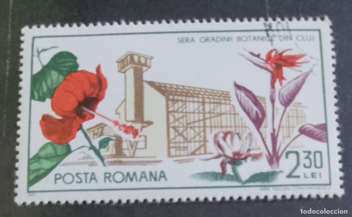 Sellos: RUMANIA - V/F 1,20 LEI - A&Ntilde;O 1965 - FLORA, JARDINES BOT&Aacute;NICOS INVERNADERO DE CLUJ - VER DESCRIPCI&Oacute;N.
