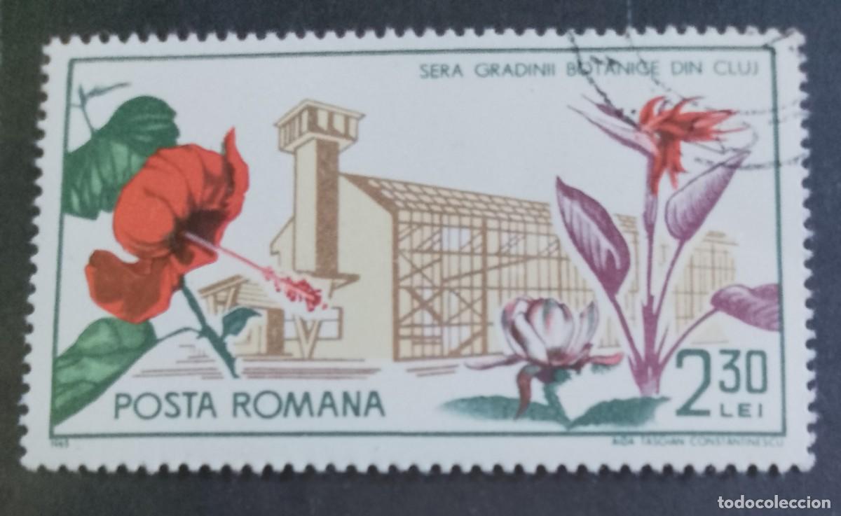 Sellos: RUMANIA - V/F 2,30 LEI - A&Ntilde;O 1965 - FLORA, JARDINES BOT&Aacute;NICOS INVERNADERO DE CLUJ - VER DESCRIPCI&Oacute;N.