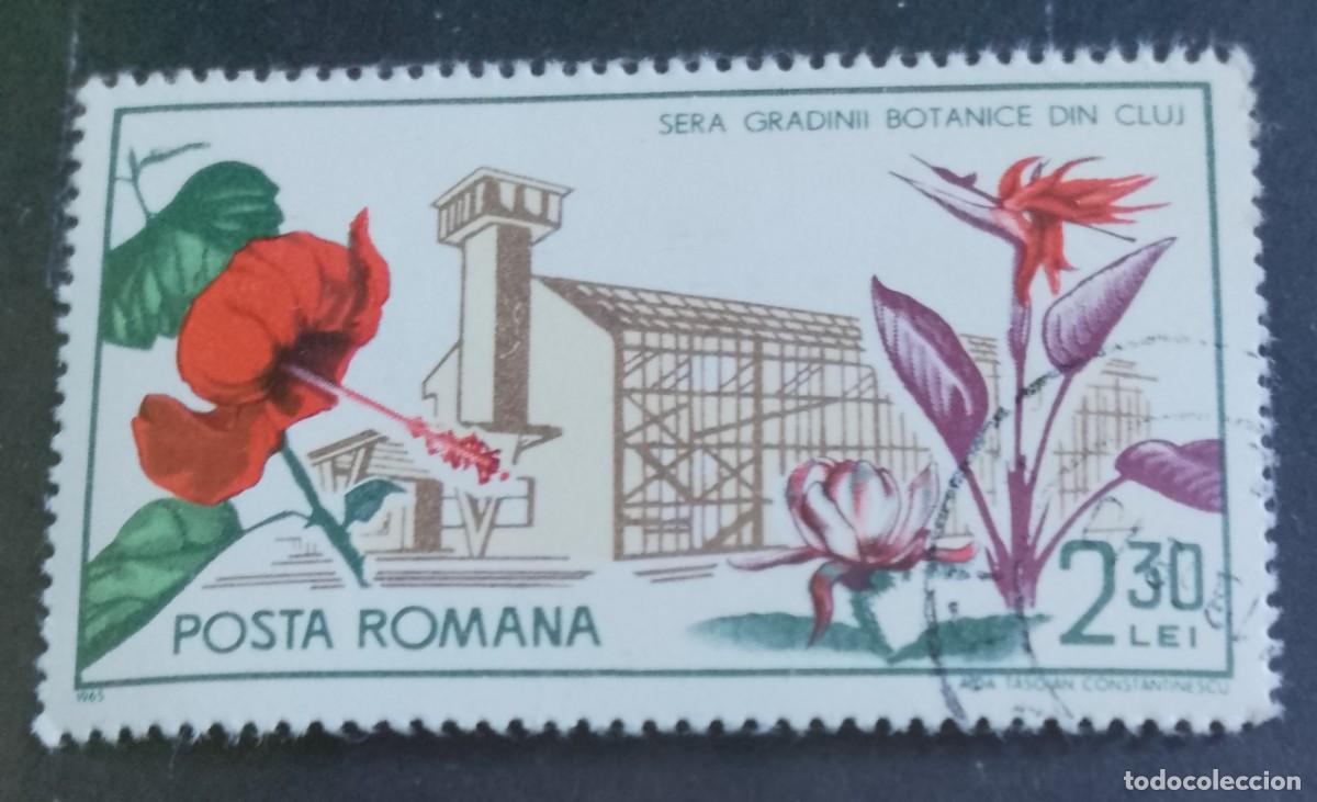 Sellos: RUMANIA - V/F 2,30 LEI - A&Ntilde;O 1965 - FLORA, JARDINES BOT&Aacute;NICOS INVERNADERO DE CLUJ - VER DESCRIPCI&Oacute;N.