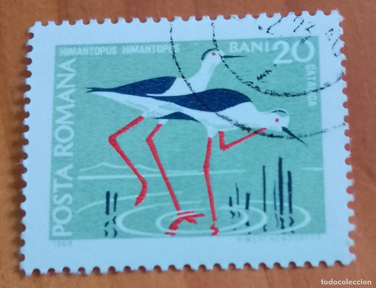 Sellos: RUMANIA - V/F 20 BANI - CATALIGA, FAUNA, HIMANTOPUSM CIG&Uuml;E&Ntilde;A - VER DESCRIPCI&Oacute;N.