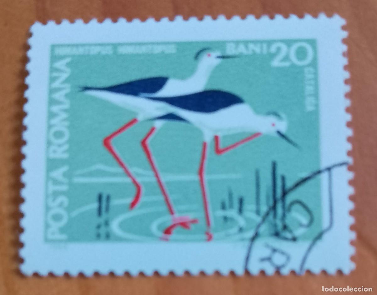 Sellos: RUMANIA - V/F 20 BANI - CATALIGA, FAUNA, HIMANTOPUS, CIG&Uuml;E&Ntilde;A - VER DESCRIPCI&Oacute;N.