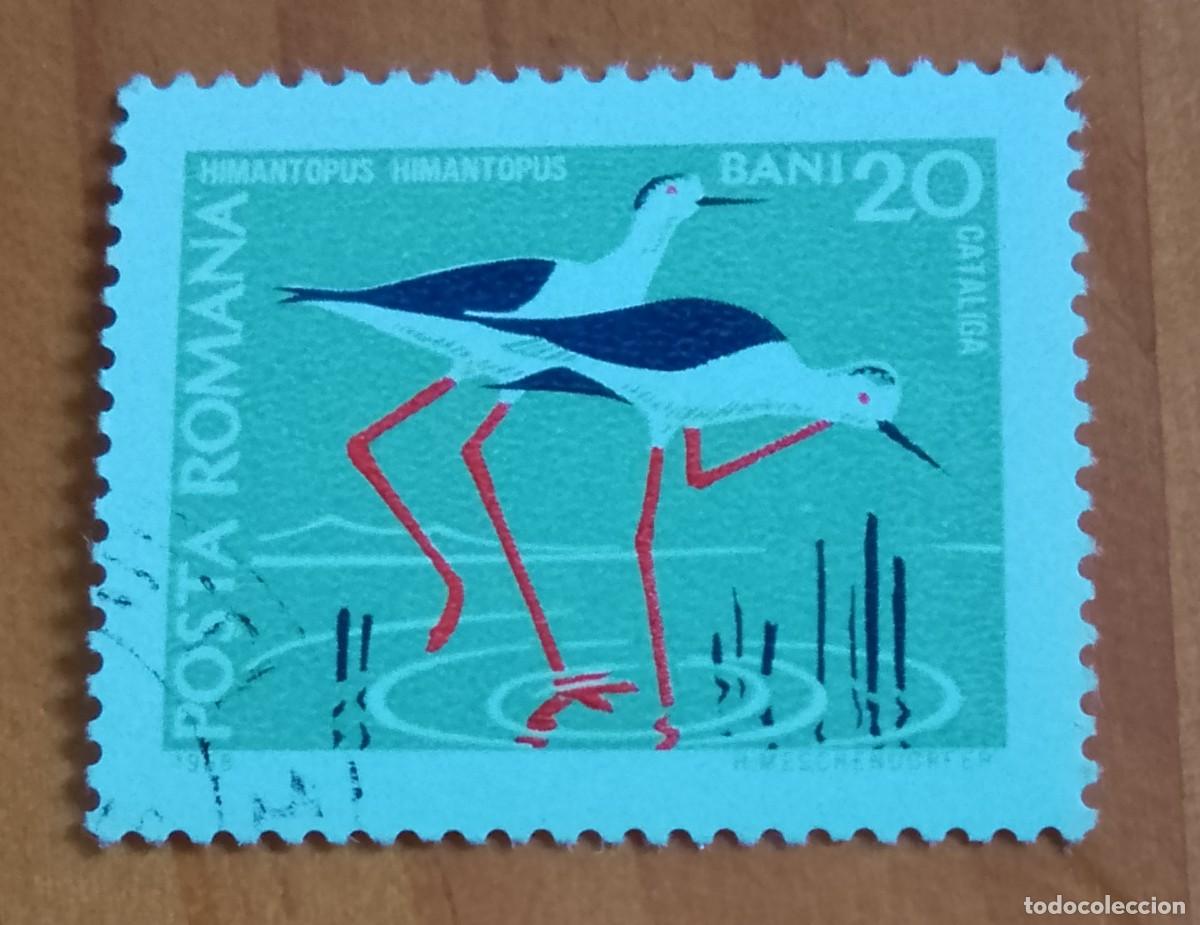 Sellos: RUMANIA - V/F 20 BANI - CATALIGA, FAUNA, HIMANTOPUS, CIG&Uuml;E&Ntilde;A - VER DESCRIPCI&Oacute;N.