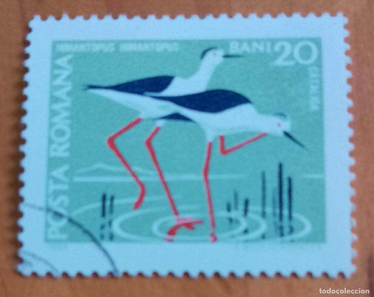 Sellos: RUMANIA - V/F 20 BANI - CATALIGA, FAUNA, HIMANTOPUS, CIG&Uuml;E&Ntilde;A - VER DESCRIPCI&Oacute;N.