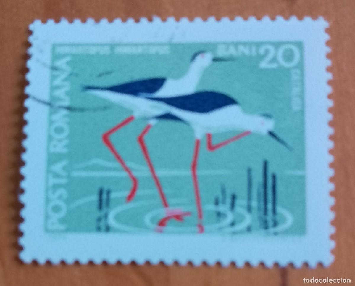 Sellos: RUMANIA - V/F 20 BANI - CATALIGA, FAUNA, HIMANTOPUS, CIG&Uuml;E&Ntilde;A - VER DESCRIPCI&Oacute;N.