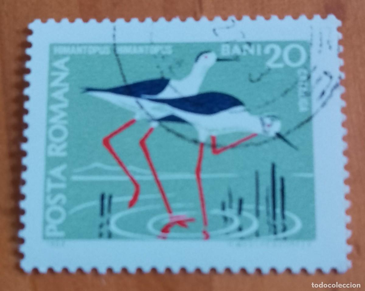 Sellos: RUMANIA - V/F 20 BANI - CATALIGA, FAUNA, HIMANTOPUS, CIG&Uuml;E&Ntilde;A - VER DESCRIPCI&Oacute;N.