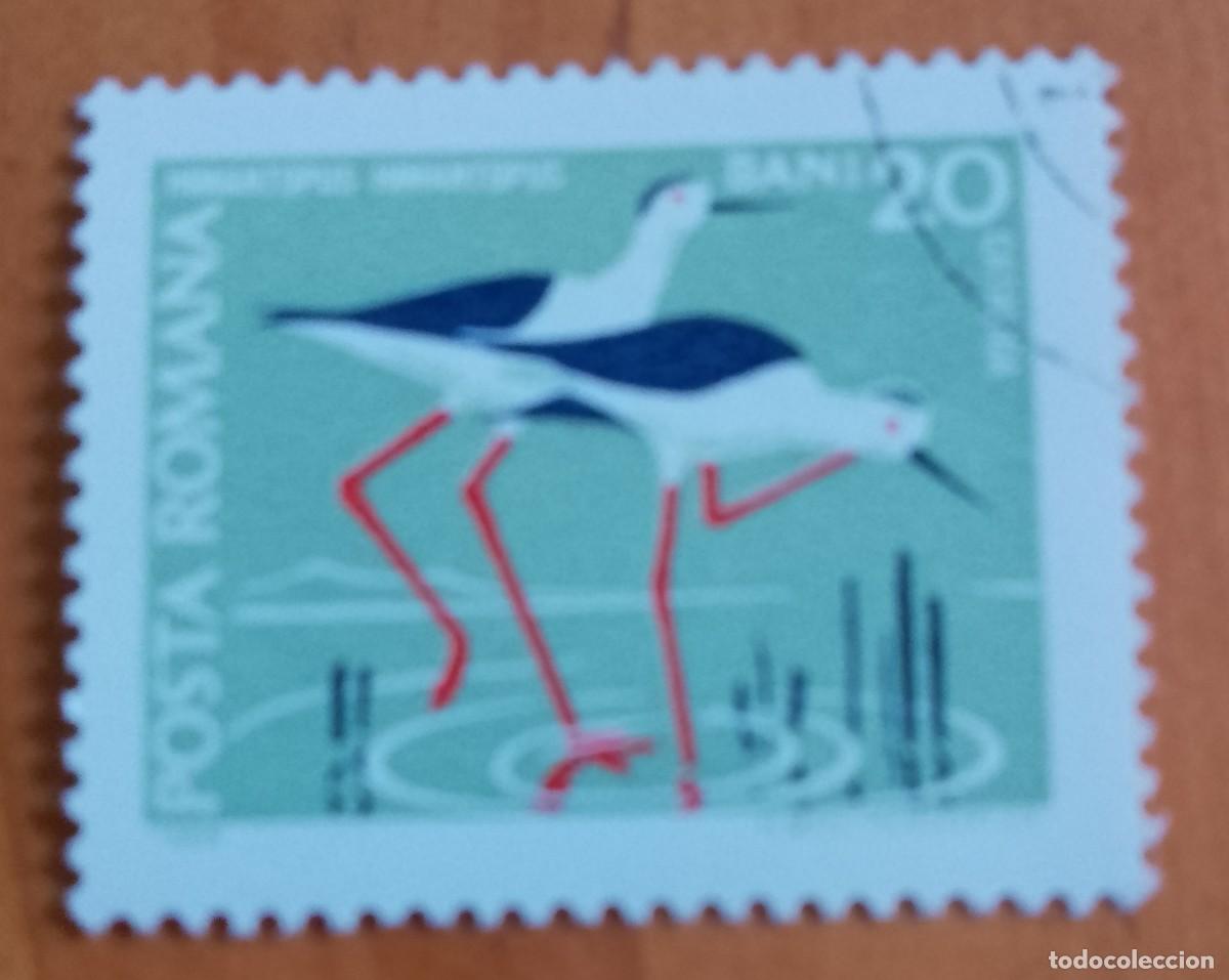 Sellos: RUMANIA - V/F 20 BANI - CATALIGA, FAUNA, HIMANTOPUS, CIG&Uuml;E&Ntilde;A - VER DESCRIPCI&Oacute;N.