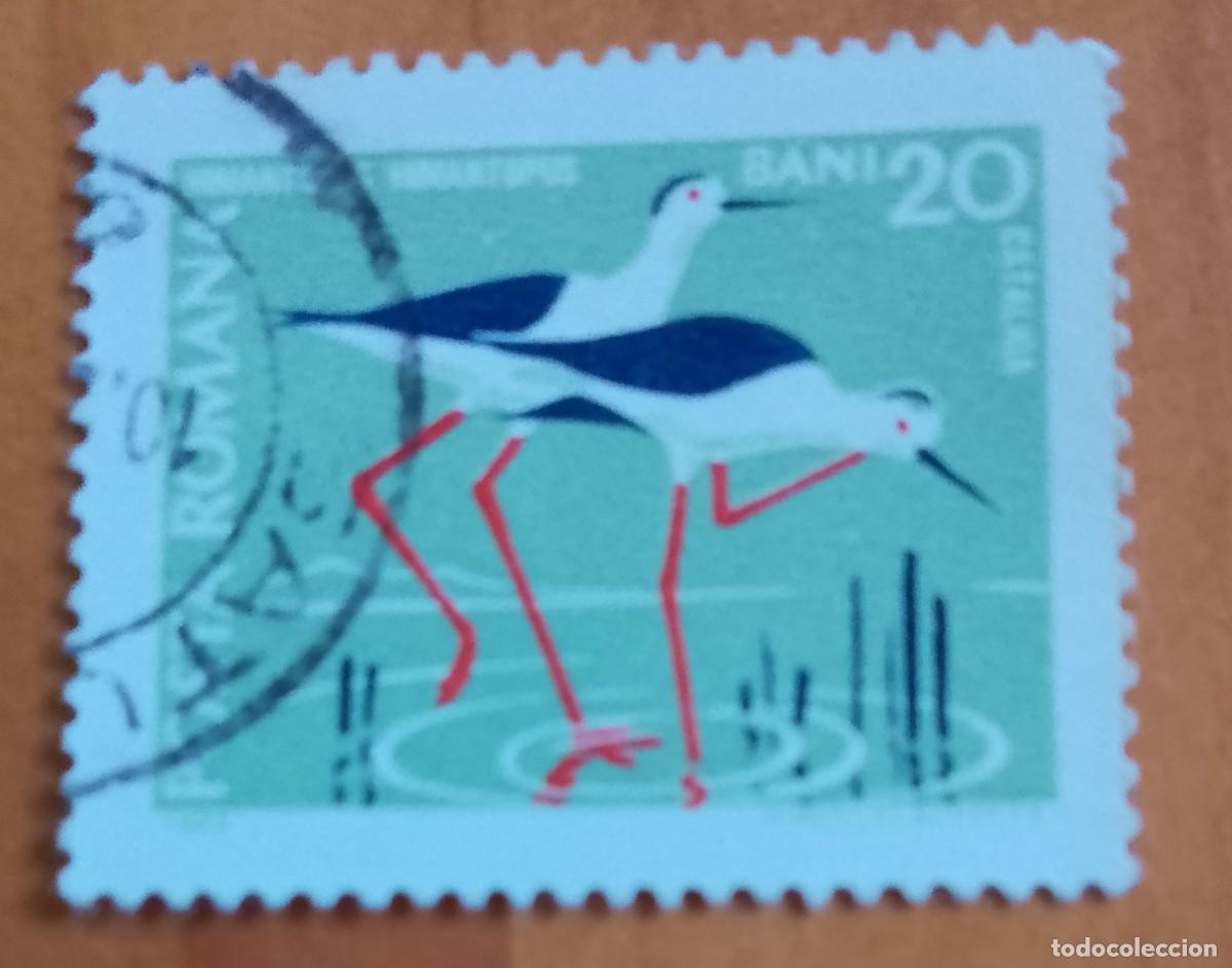 Sellos: RUMANIA - V/F 20 BANI - CATALIGA, FAUNA, HIMANTOPUS, CIG&Uuml;E&Ntilde;A - VER DESCRIPCI&Oacute;N.