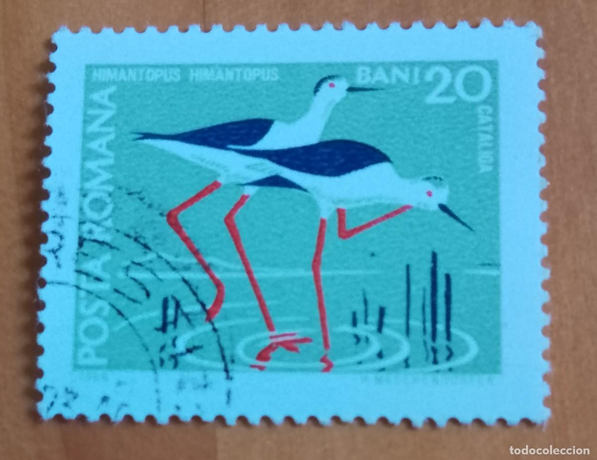 Sellos: RUMANIA - V/F 20 BANI - CATALIGA, FAUNA, HIMANTOPUS, CIG&Uuml;E&Ntilde;A - VER DESCRIPCI&Oacute;N.