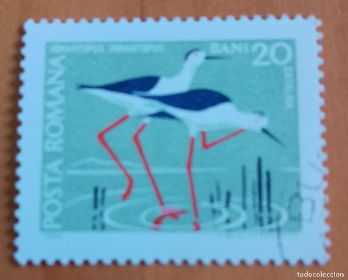 Sellos: RUMANIA - V/F 20 BANI - CATALIGA, FAUNA, HIMANTOPUS, CIG&Uuml;E&Ntilde;A - VER DESCRIPCI&Oacute;N.