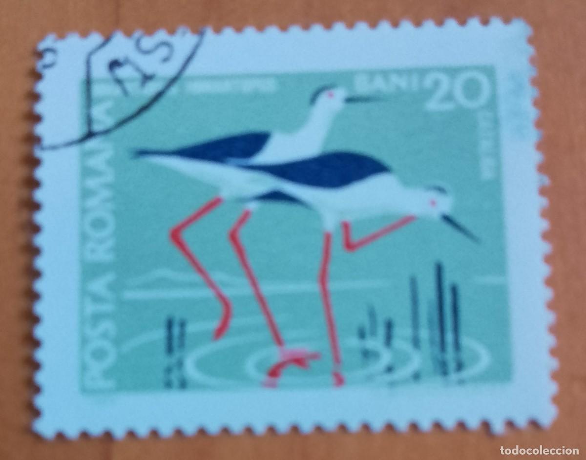 Sellos: RUMANIA - V/F 20 BANI - CATALIGA, FAUNA, HIMANTOPUS, CIG&Uuml;E&Ntilde;A - VER DESCRIPCI&Oacute;N.