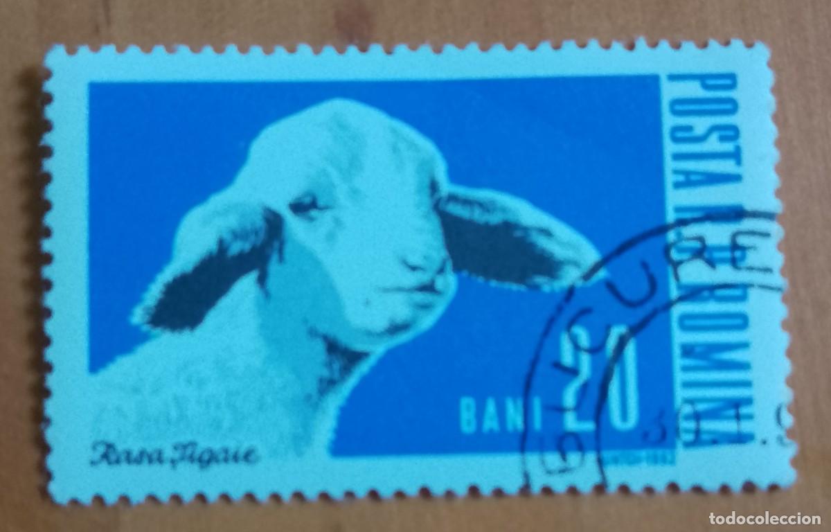 Sellos: RUMANIA - V/F BANI - A&Ntilde;O 1962 - RASA TIGAIE - FAUNA, ANIMALES DE GRANJA - VER DESCRIPCI&Oacute;N.