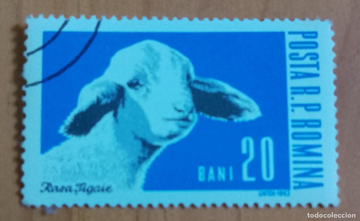Sellos: RUMANIA - V/F BANI - A&Ntilde;O 1962 - RASA TIGAIE - FAUNA, ANIMALES DE GRANJA - VER DESCRIPCI&Oacute;N.