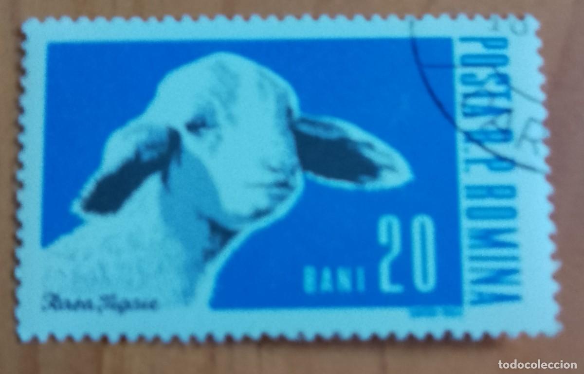 Sellos: RUMANIA - V/F BANI - A&Ntilde;O 1962 - RASA TIGAIE - FAUNA, ANIMALES DE GRANJA - VER DESCRIPCI&Oacute;N.