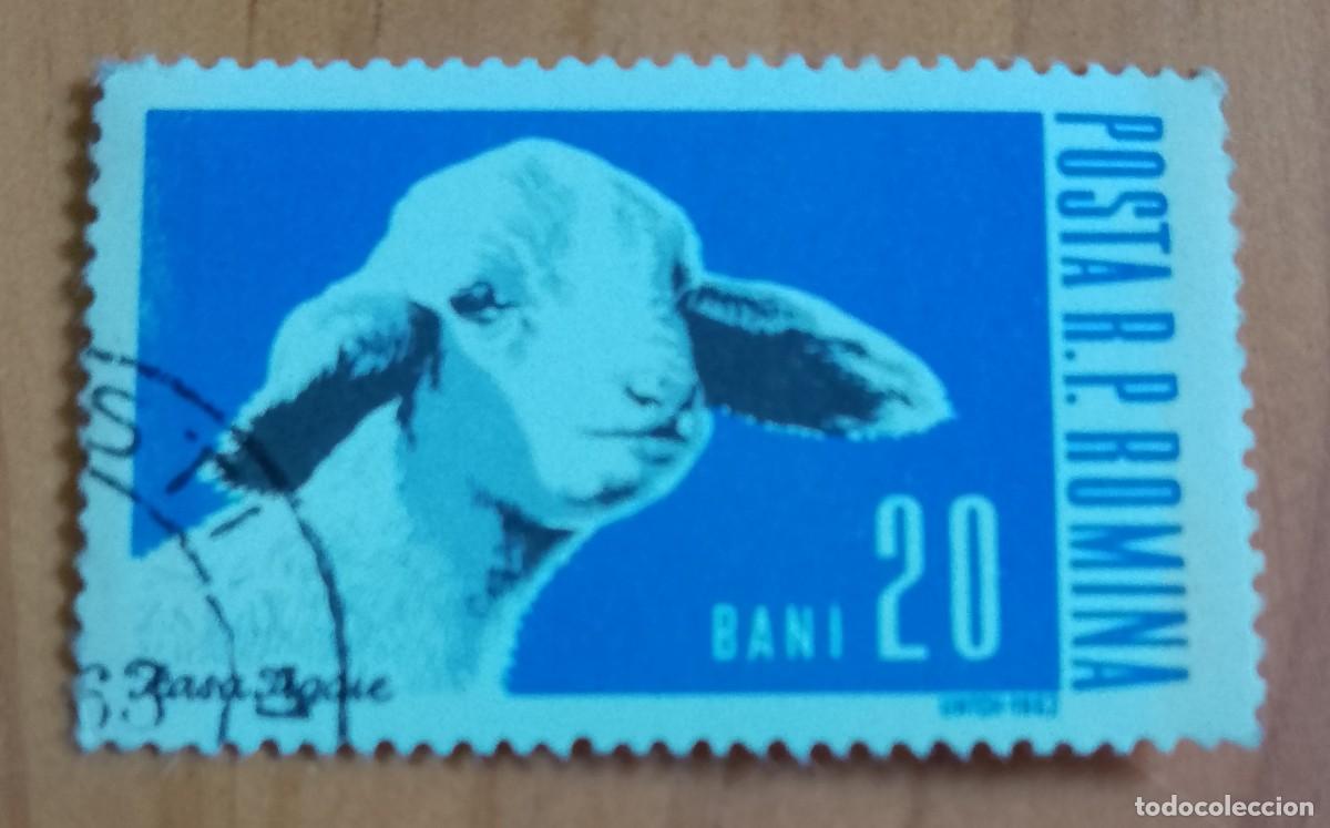 Sellos: RUMANIA - V/F BANI - A&Ntilde;O 1962 - RASA TIGAIE - FAUNA, ANIMALES DE GRANJA - VER DESCRIPCI&Oacute;N.