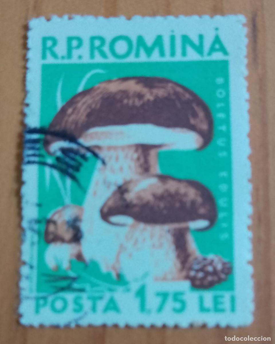Sellos: RUMANIA - V/F 1,75 LEI - FLORA, HONGO, SETA, BOLETUS EDULIS