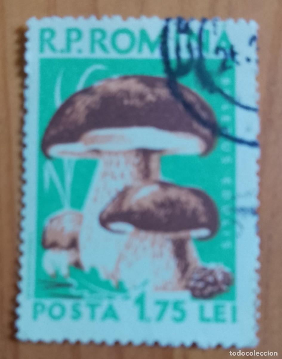 Sellos: RUMANIA - V/F 1,75 LEI - FLORA, HONGO, SETA, BOLETUS EDULIS