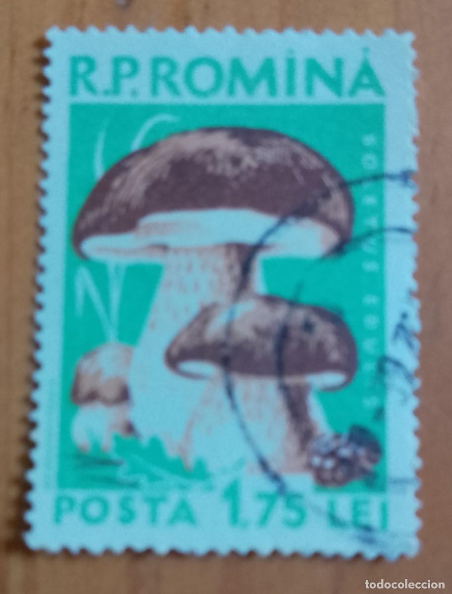 Sellos: RUMANIA - V/F 1,75 LEI - FLORA, HONGO, SETA, BOLETUS EDULIS