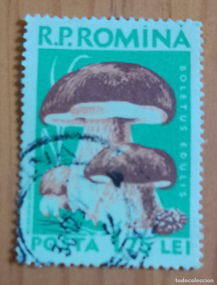 Sellos: RUMANIA - V/F 1,75 LEI - FLORA, HONGO, SETA, BOLETUS EDULIS
