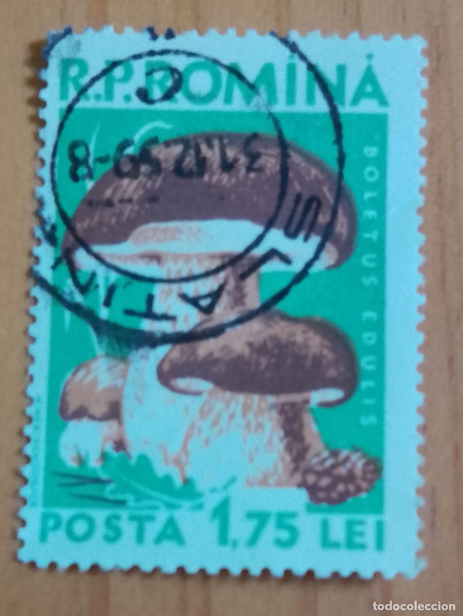 Sellos: RUMANIA - V/F 1,75 LEI - FLORA, HONGO, SETA, BOLETUS EDULIS - VER DESCRIPCI&Oacute;N