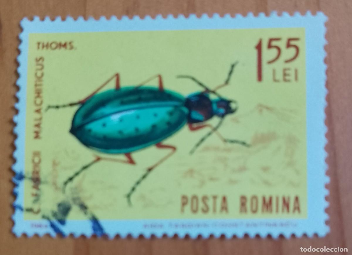 Sellos: RUMANIA - V/F 1,55 LEI - A&Ntilde;O 1964 - ESCARABAJO, FABRICII MALACHITICUS