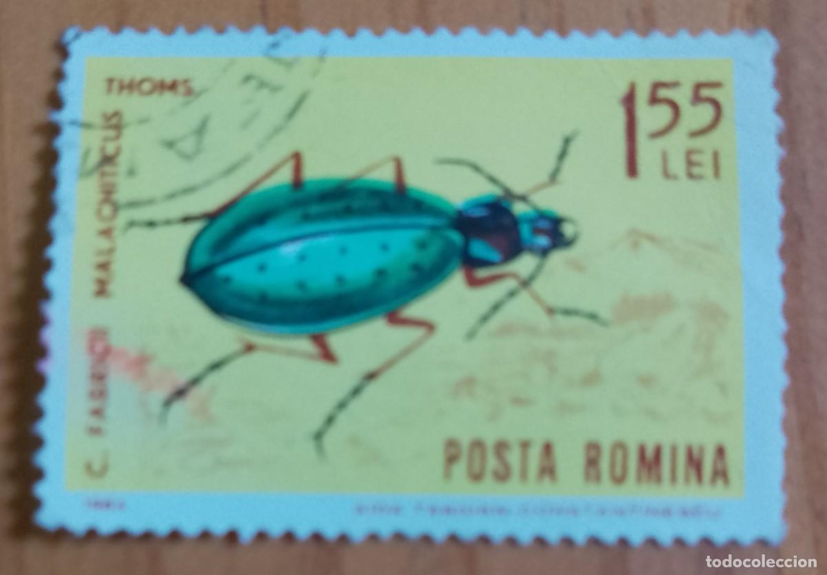 Sellos: RUMANIA - V/F 1,55 LEI - A&Ntilde;O 1964 - ESCARABAJO, FABRICII MALACHITICUS