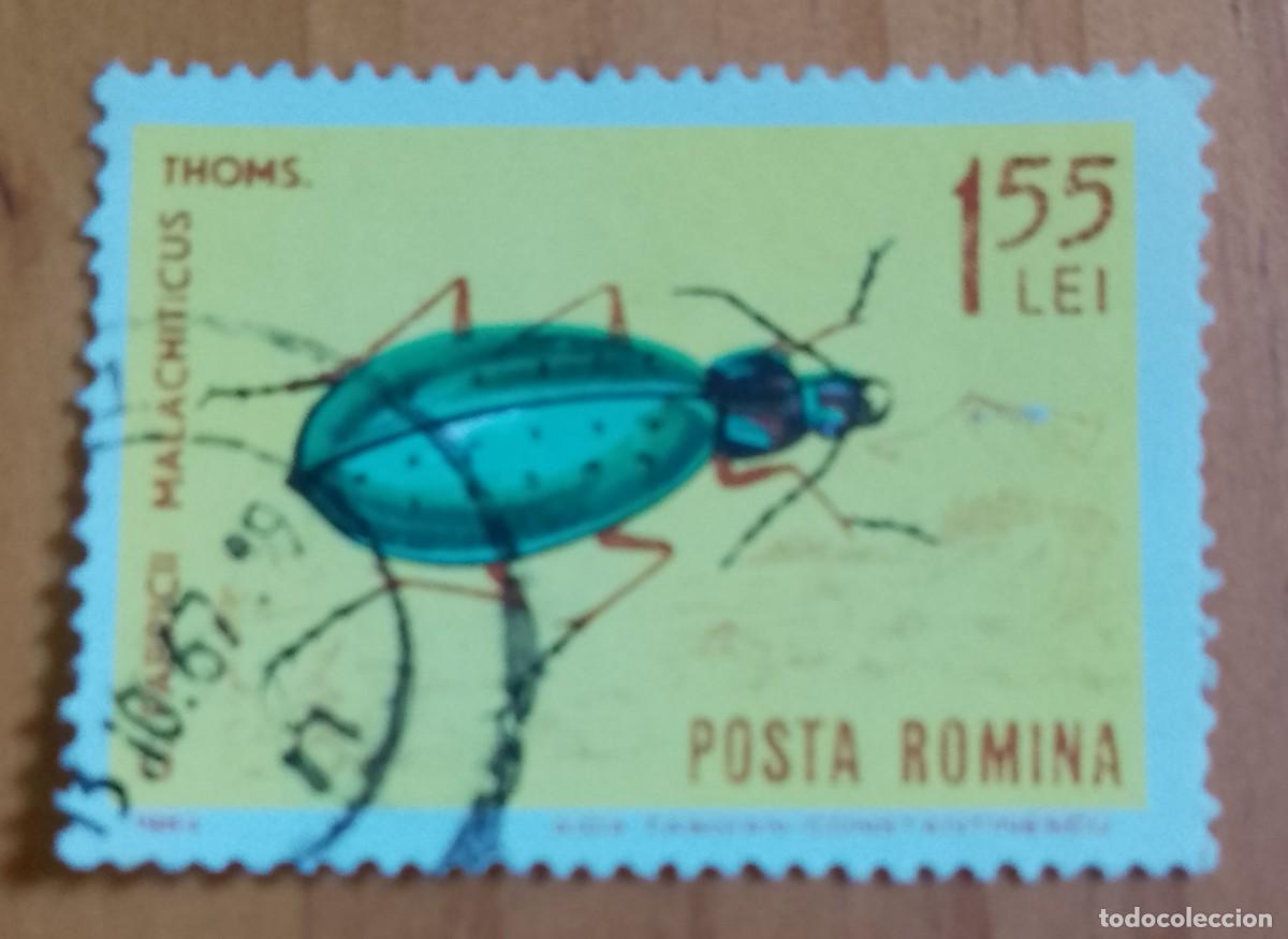 Sellos: RUMANIA - V/F 1,55 LEI - A&Ntilde;O 1964 - ESCARABAJO, FABRICII MALACHITICUS
