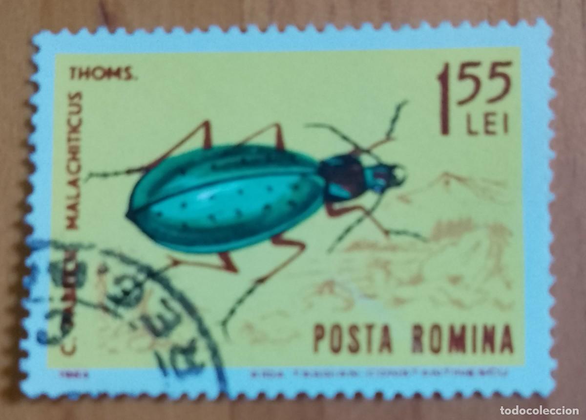Sellos: RUMANIA - V/F 1,55 LEI - A&Ntilde;O 1964 - ESCARABAJO, FABRICII MALACHITICUS