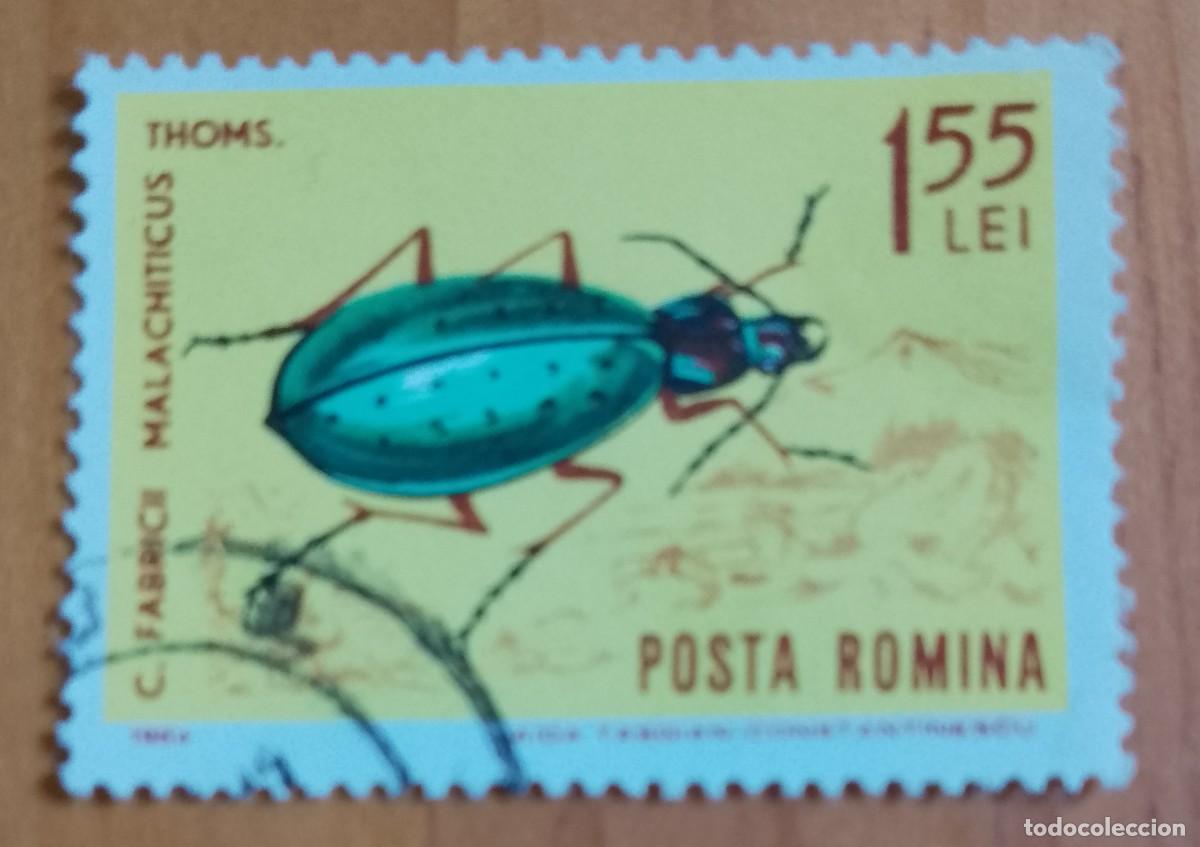 Sellos: RUMANIA - V/F 1,55 LEI - A&Ntilde;O 1964 - ESCARABAJO, FABRICII MALACHITICUS