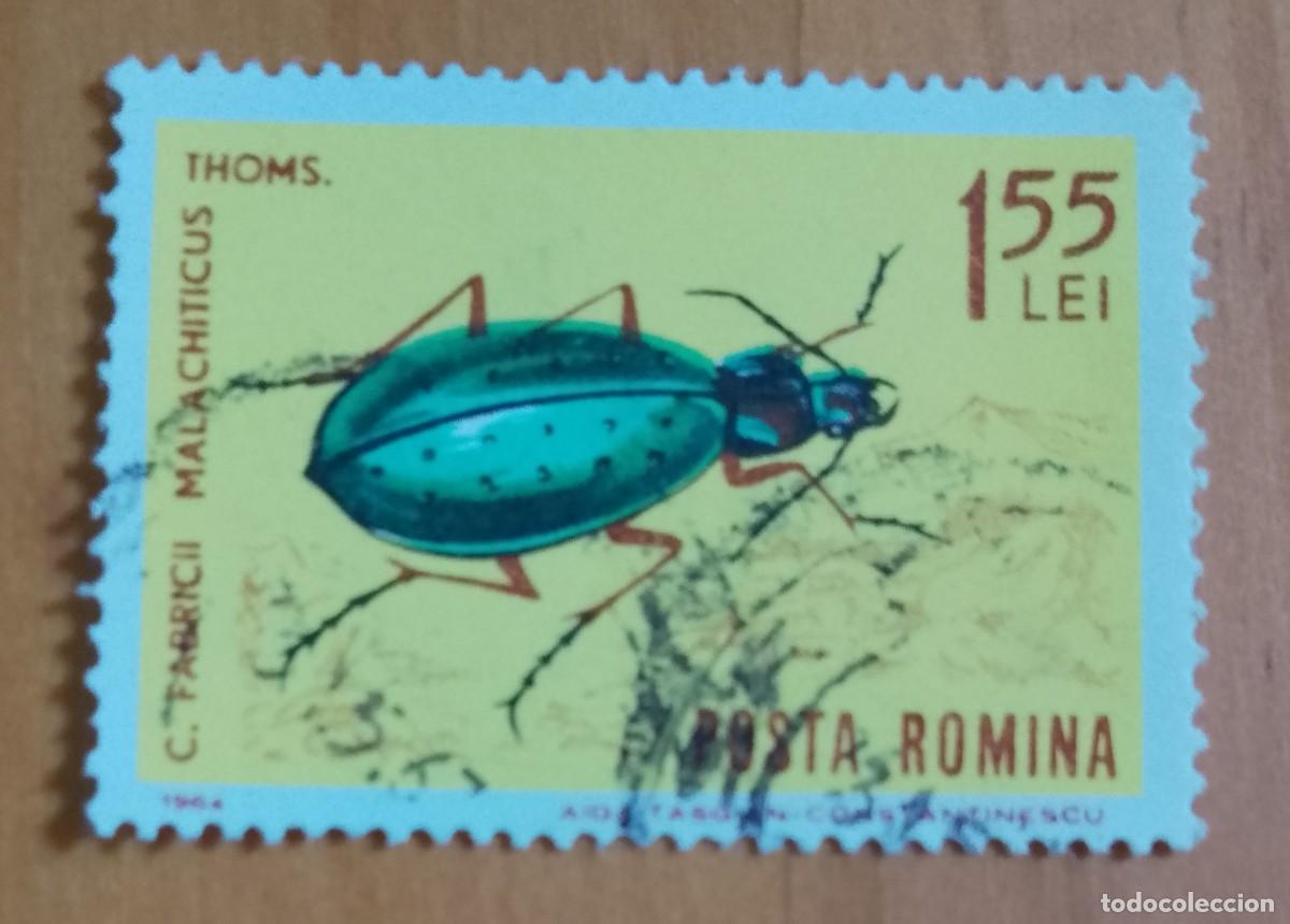 Sellos: RUMANIA - V/F 1,55 LEI - A&Ntilde;O 1964 - ESCARABAJO, FABRICII MALACHITICUS