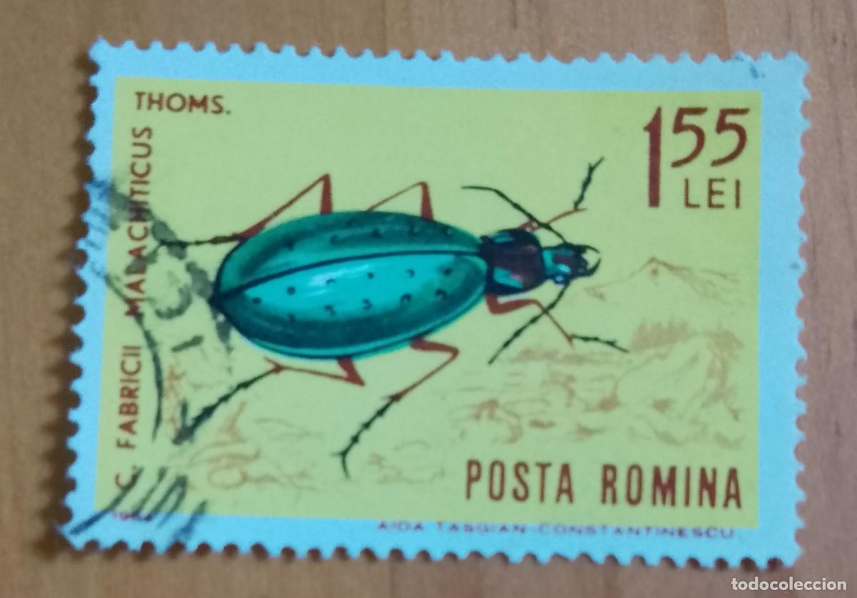Sellos: RUMANIA - V/F 1,55 LEI - A&Ntilde;O 1964 - ESCARABAJO, FABRICII MALACHITICUS