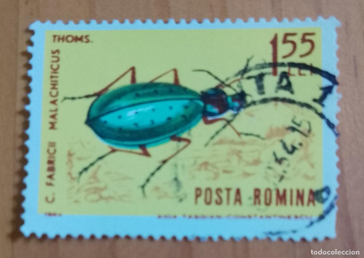 Sellos: RUMANIA - V/F 1,55 LEI - A&Ntilde;O 1964 - ESCARABAJO, FABRICII MALACHITICUS