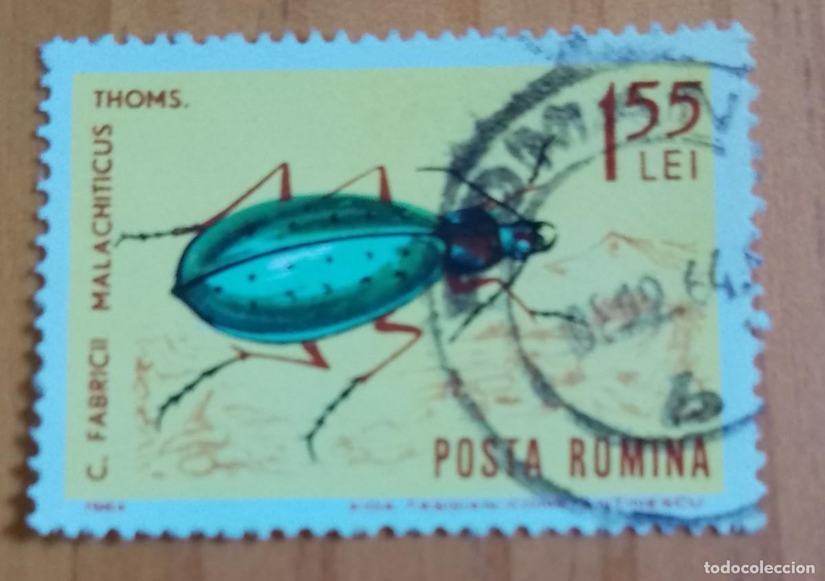 Sellos: RUMANIA - V/F 1,55 LEI - A&Ntilde;O 1964 - ESCARABAJO, FABRICII MALACHITICUS