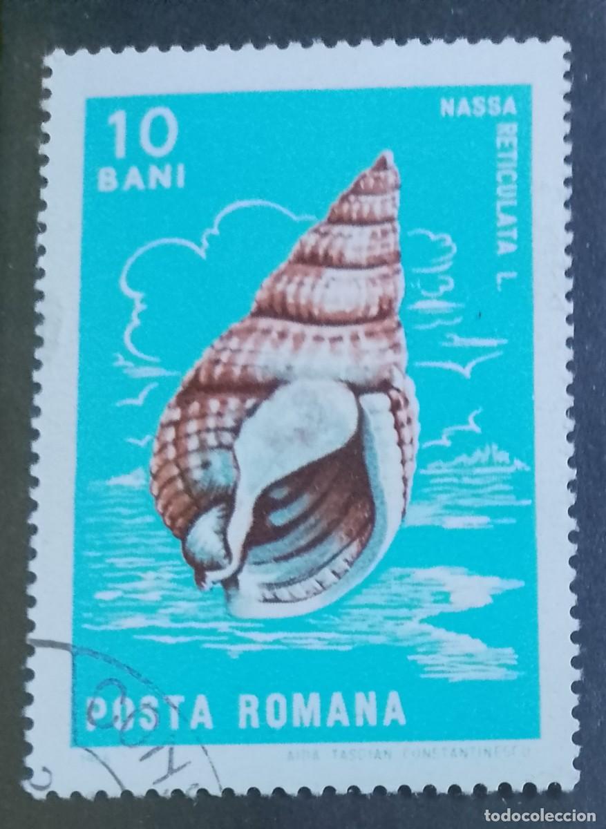 Sellos: RUMANIA - V/F 10 BANI -A. 1965 - CR&Uacute;STACEO -NASSA RETICULATA, L. CARACOL MARINO PEQUE&Ntilde;O -DESCRIPCI&Oacute;N