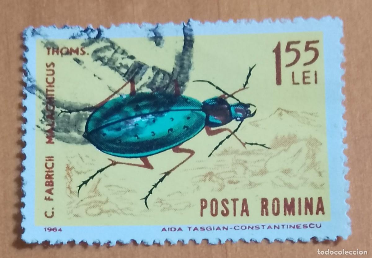 Sellos: RUMANIA - 1,55 LEI - A&Ntilde;O 1954 - ESCARABAJO, FABRICII MALACHITICUS