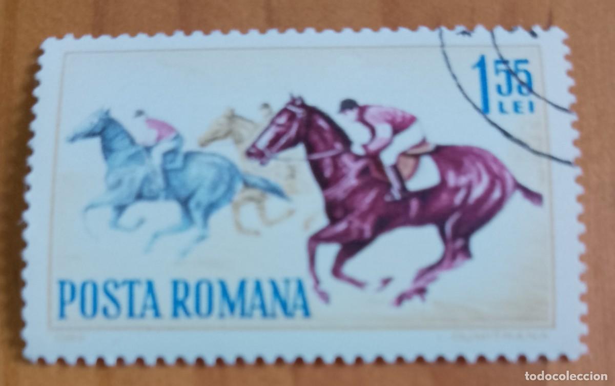Sellos: RUMANIA - 1,55 LEI - A&Ntilde;O 1964 - CARRERA DE CABALLOS - VER DESCRIPCI&Oacute;N.