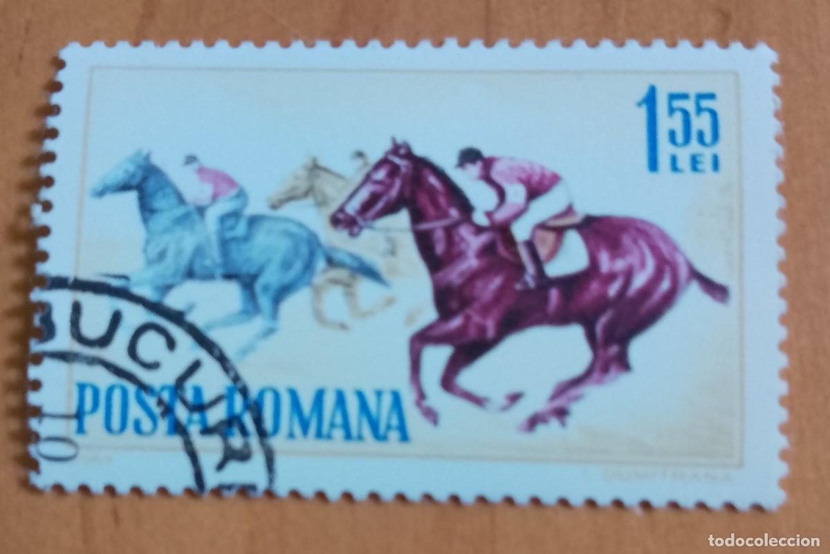 Sellos: RUMANIA - 1,55 LEI - A&Ntilde;O 1964 - CARRERA DE CABALLOS - VER DESCRIPCI&Oacute;N.