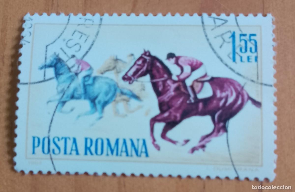 Sellos: RUMANIA - 1,55 LEI - A&Ntilde;O 1964 - CARRERA DE CABALLOS - VER DESCRIPCI&Oacute;N.