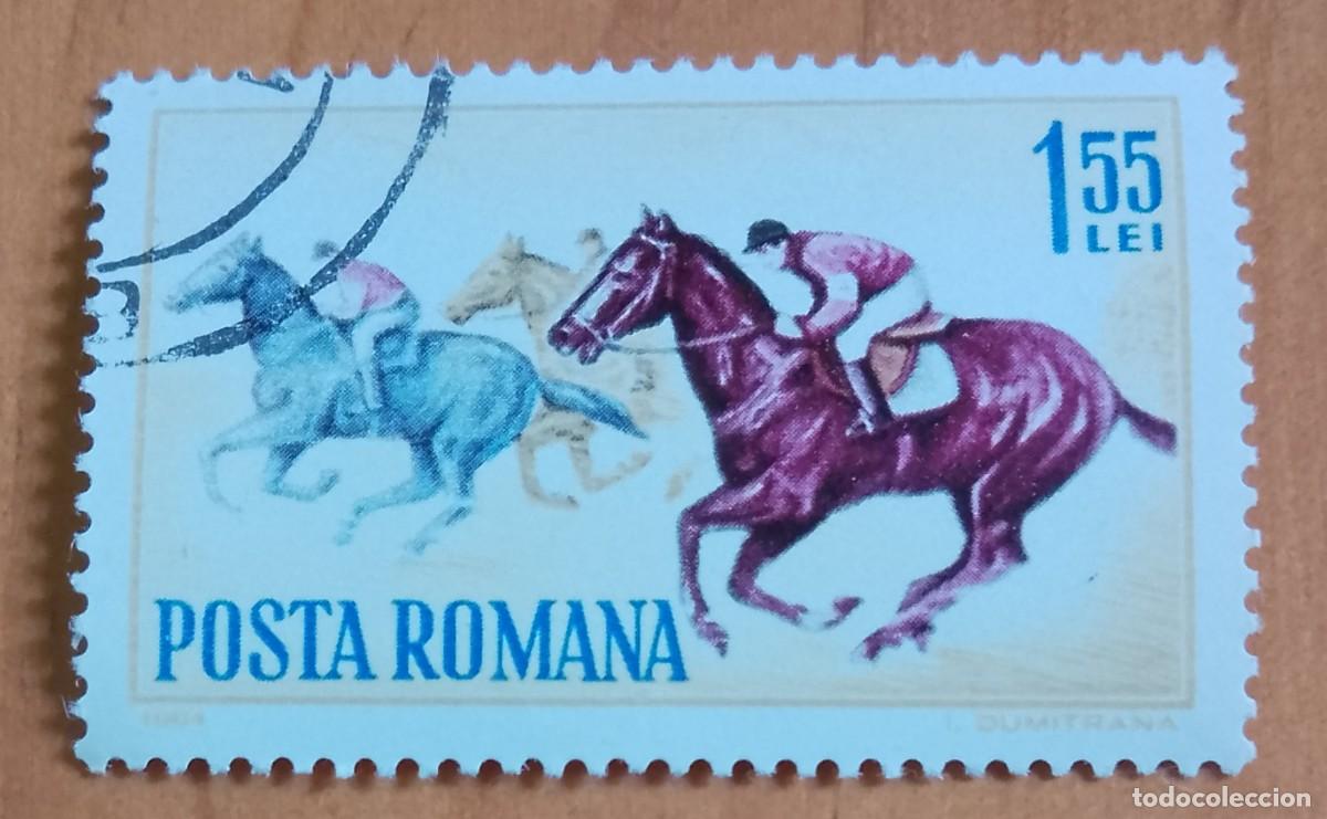 Sellos: RUMANIA - 1,55 LEI - A&Ntilde;O 1964 - CARRERA DE CABALLOS - VER DESCRIPCI&Oacute;N.