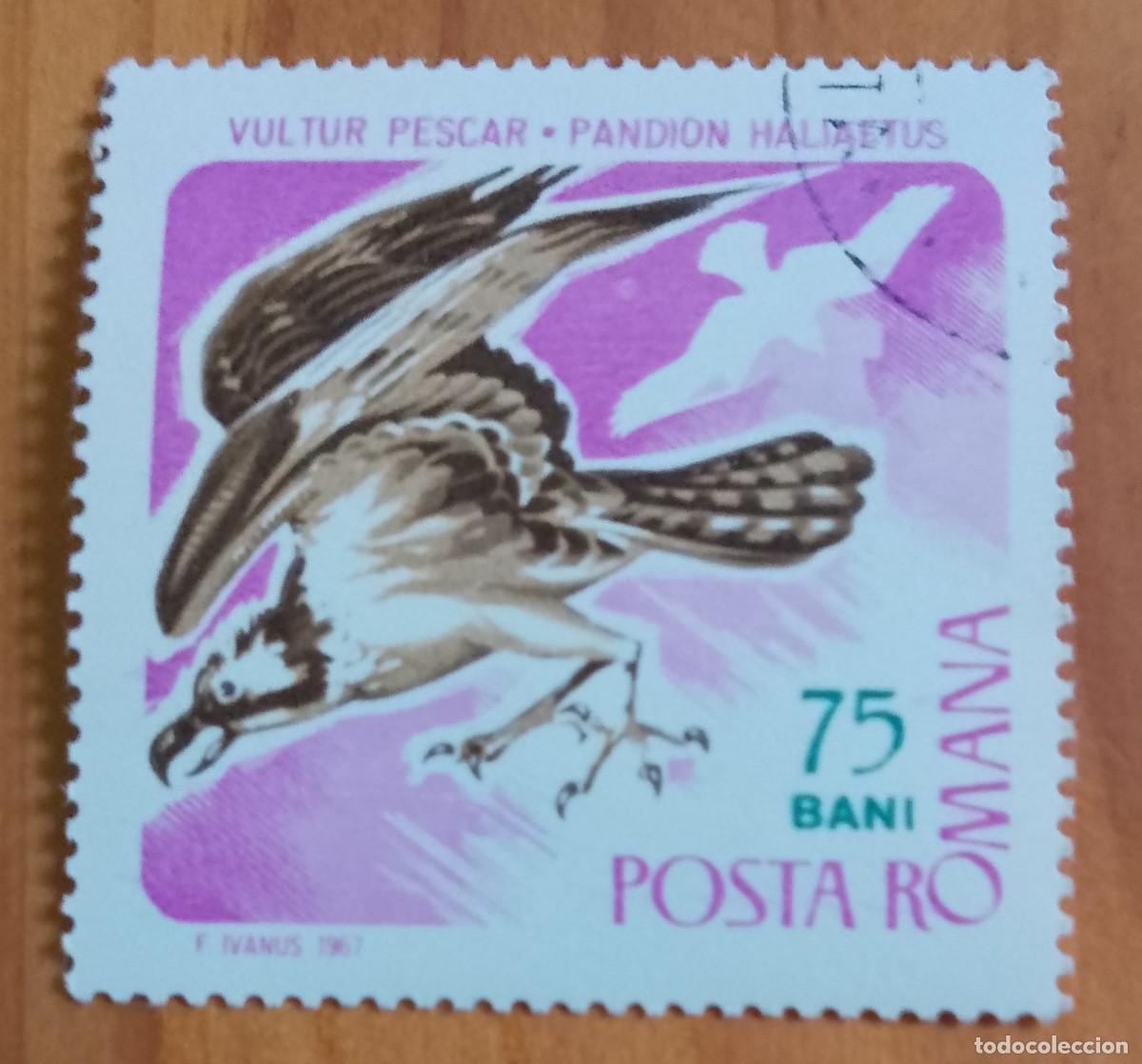 Sellos: RUMANIA - 75 BANI - A&Ntilde;O 1967 - FAUNA, &Aacute;GUILA PESCADORA, BUITRE - VER DESCRIPCI&Oacute;N.