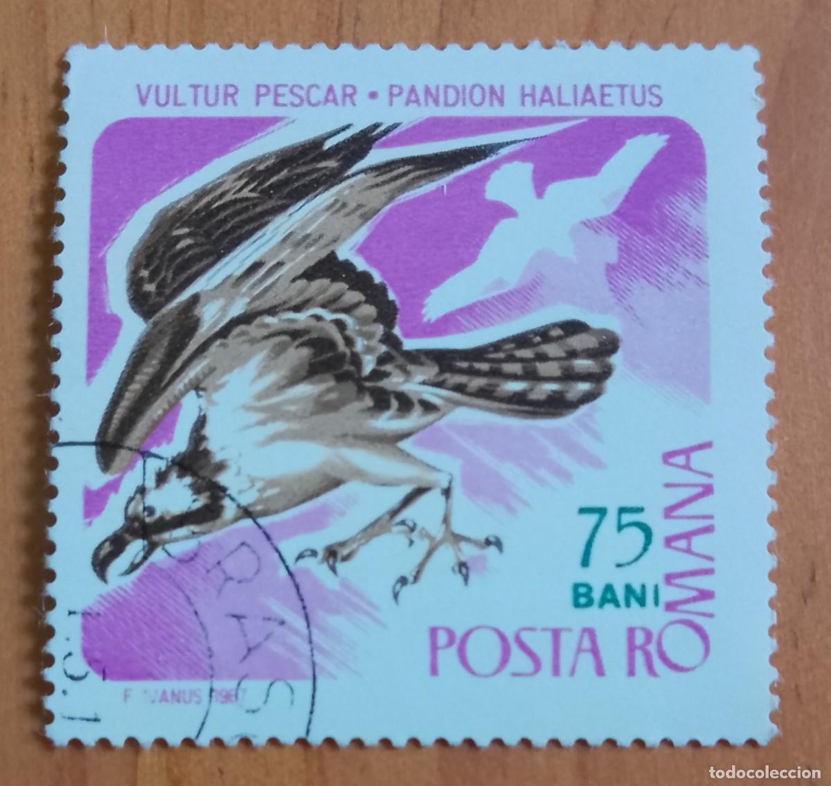 Sellos: RUMANIA - 75 BANI - A&Ntilde;O 1967 - FAUNA, &Aacute;GUILA PESCADORA, BUITRE - VER DESCRIPCI&Oacute;N.