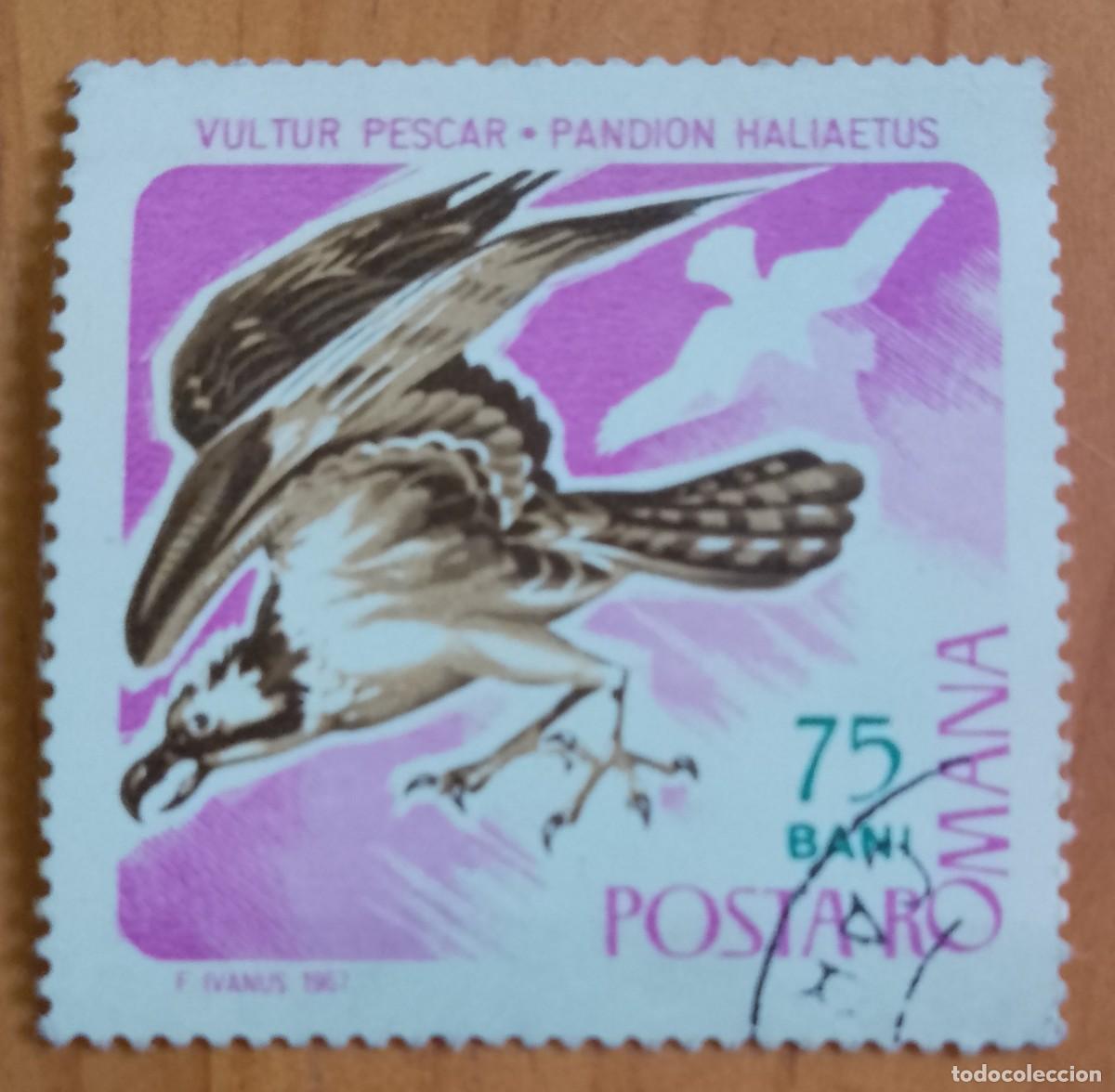 Sellos: RUMANIA - 75 BANI - A&Ntilde;O 1967 - FAUNA, &Aacute;GUILA PESCADORA, BUITRE - VER DESCRIPCI&Oacute;N.