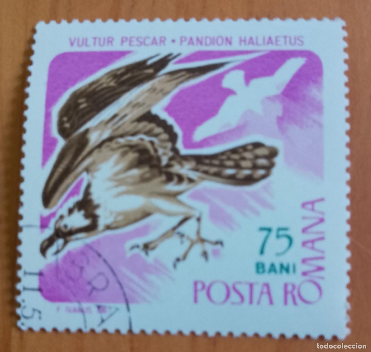 Sellos: RUMANIA - 75 BANI - A&Ntilde;O 1967 - FAUNA, &Aacute;GUILA PESCADORA, BUITRE - VER DESCRIPCI&Oacute;N.