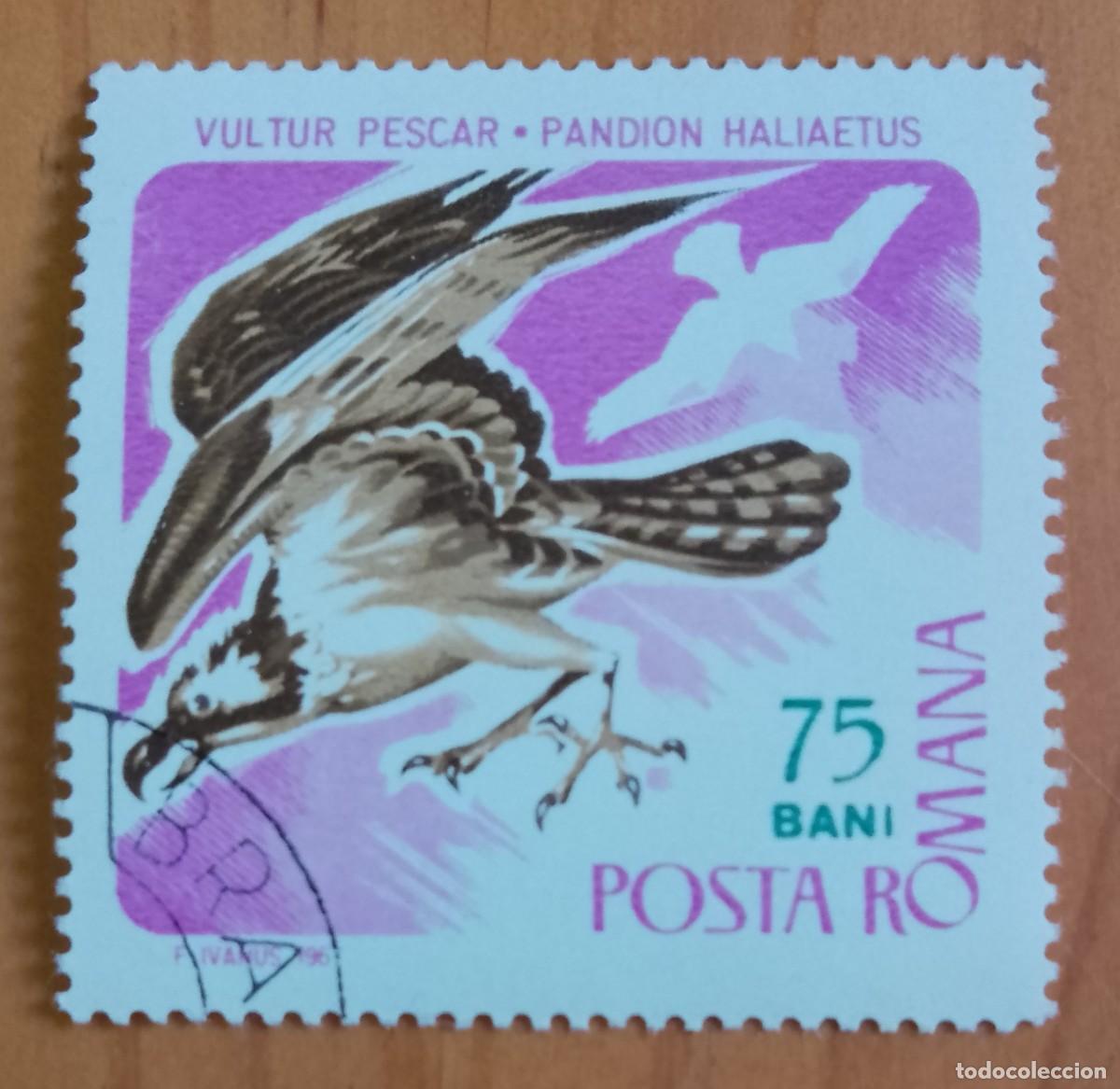 Sellos: RUMANIA - 75 BANI - A&Ntilde;O 1967 - FAUNA, &Aacute;GUILA PESCADORA, BUITRE - VER DESCRIPCI&Oacute;N.