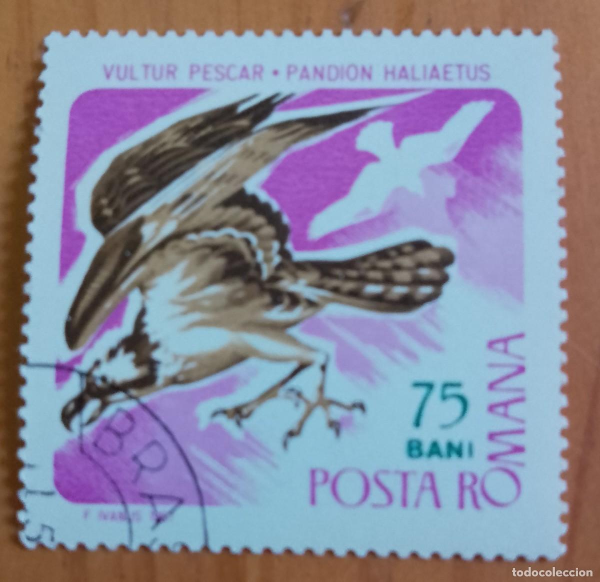 Sellos: RUMANIA - 75 BANI - A&Ntilde;O 1967 - FAUNA, &Aacute;GUILA PESCADORA, BUITRE - VER DESCRIPCI&Oacute;N.