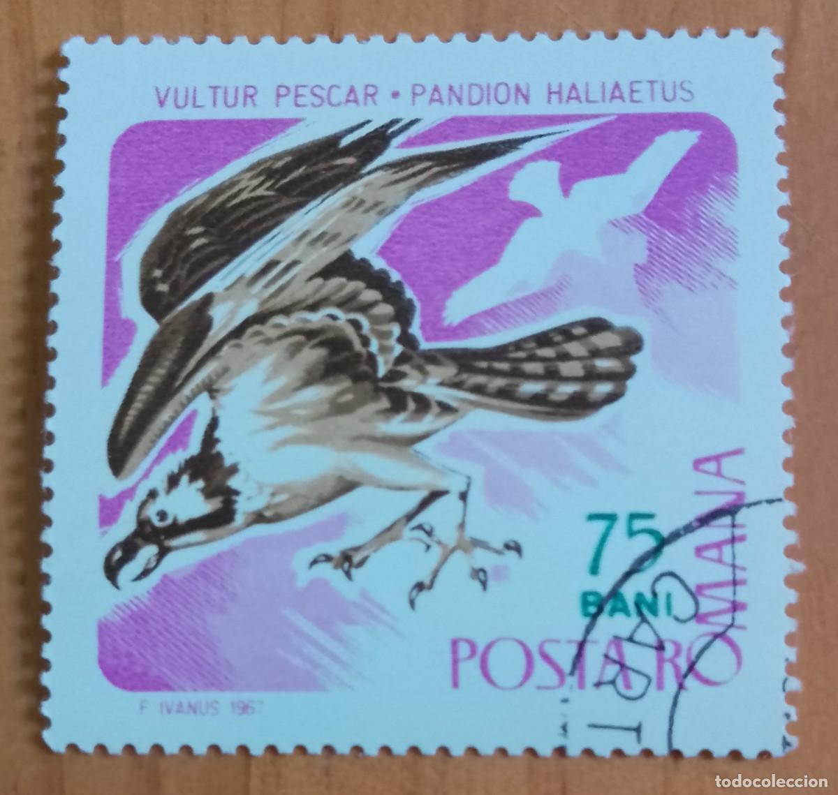 Sellos: RUMANIA - 75 BANI - A&Ntilde;O 1967 - FAUNA, &Aacute;GUILA PESCADORA, BUITRE - VER DESCRIPCI&Oacute;N.