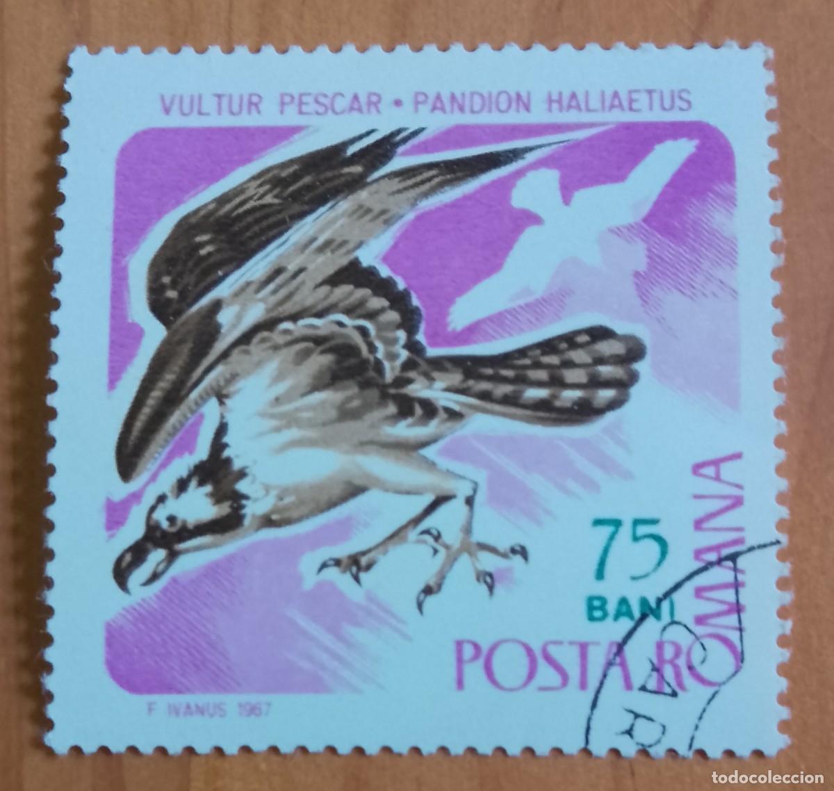 Sellos: RUMANIA - 75 BANI - A&Ntilde;O 1967 - FAUNA, &Aacute;GUILA PESCADORA, BUITRE - VER DESCRIPCI&Oacute;N.