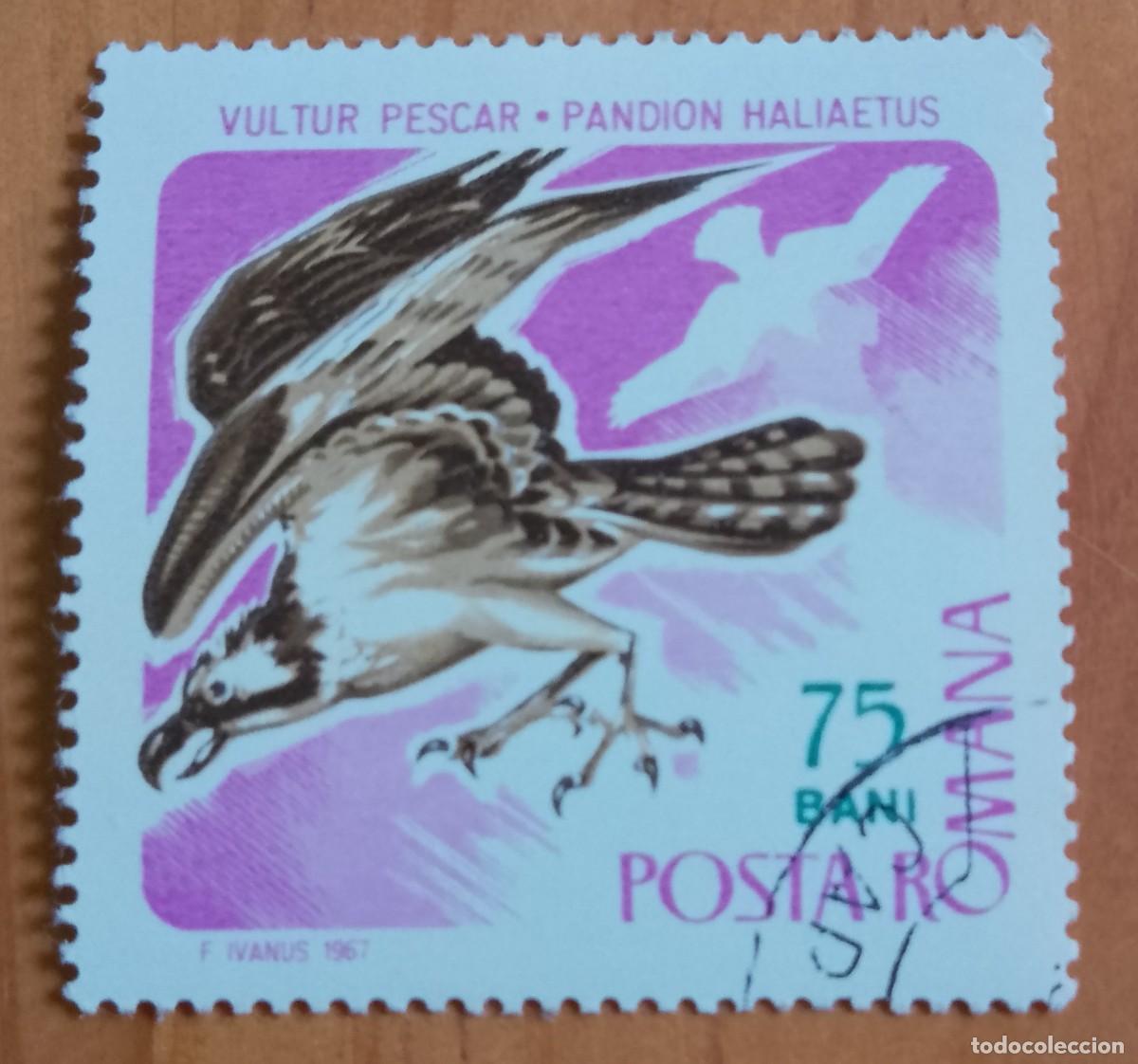 Sellos: RUMANIA - 75 BANI - A&Ntilde;O 1967 - FAUNA, &Aacute;GUILA PESCADORA, BUITRE - VER DESCRIPCI&Oacute;N.